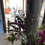 Apartament Il Nido Di Rondine *