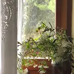 Apartament Il Nido Di Rondine Siena