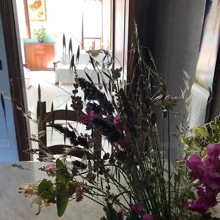 Apartamento Il Nido Di Rondine *