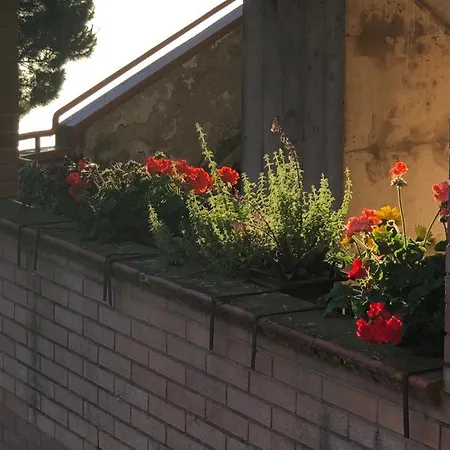 Il Nido Di Rondine Apartment *