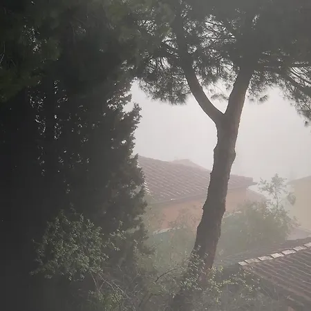 דירה Il Nido Di Rondine סיינה